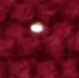 Load image into Gallery viewer, MÜTZE | Mütze mit bommel in Rot
